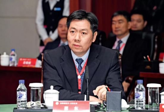 蔡东是2019年任命的第六位"金融副省长.图/ic