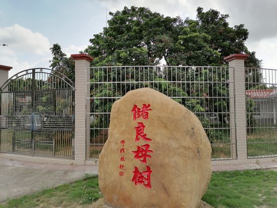 高州市2020年GDP_2020年第一季度GDP出炉,高州竟然排名第...