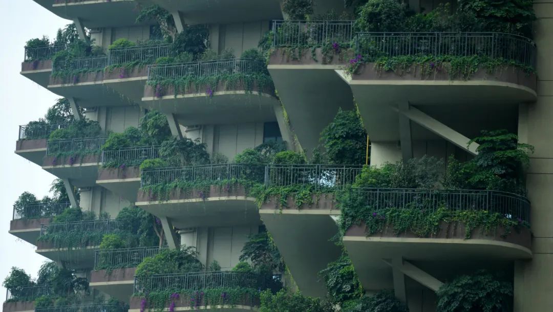 摩天大楼上种树，“垂直森林”是噱头还是未来