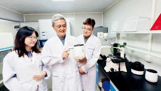 蚊子变性，你终于不再收“红包”？