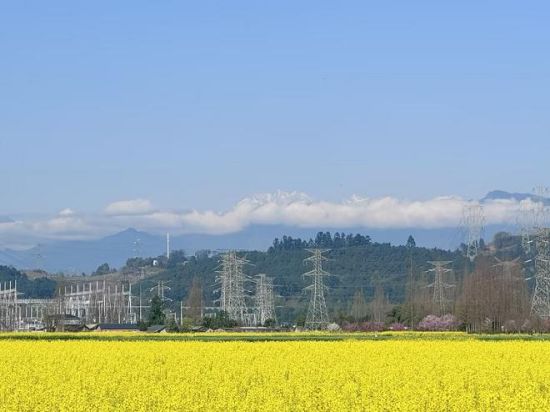 从花田到心田 中国人寿为“春日经济”护航添彩