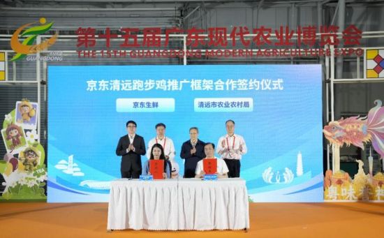 京东跑步鸡认证基地落户广东清远 清远鸡将实现多环节全维度升级