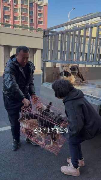 美的携手吴克群奔赴一场生命之约：让守护流浪动物的“英雄”不再孤单