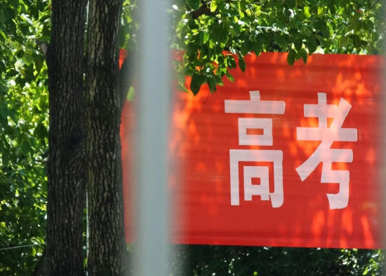 千问把“信息平权”装进高考志愿表