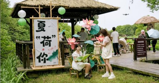 苏州太湖国家湿地公园荷花市集清雅启幕