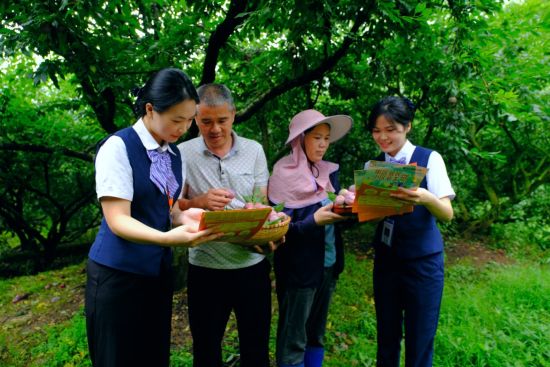 广东茂名：金融添柴旺灶 个体工商户经济烟火升腾