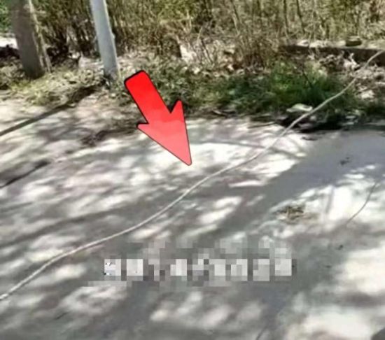 13岁男孩骑车被绳索割喉，还在ICU