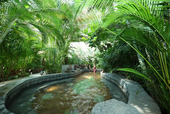 秋冬森林温泉季大幕开启 来丰台南宫感受暖心之旅