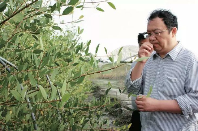 播种者钟扬 - 中国新闻周刊网